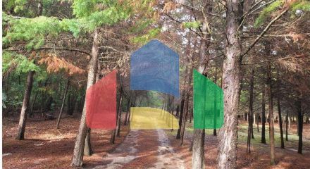 Residential - Farm - Canas de Senhorim, Nelas - PT