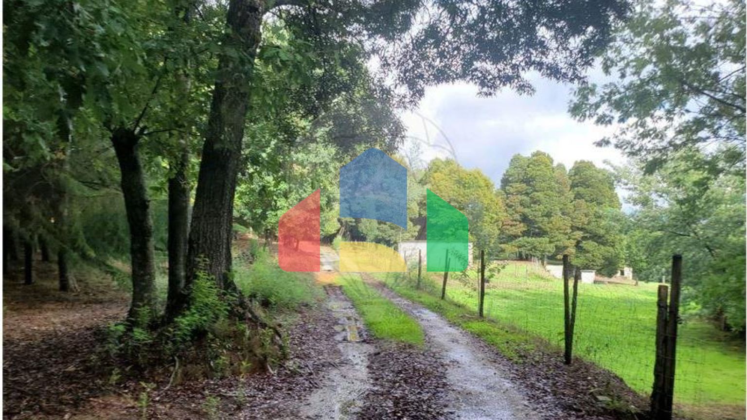 Residential - Farm - Canas de Senhorim, Nelas - PT