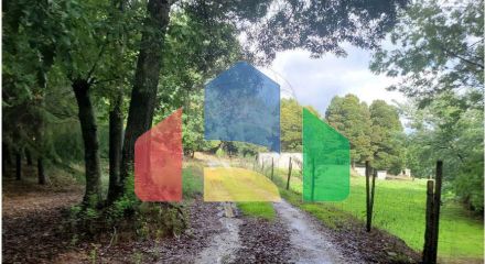 Residential - Farm - Canas de Senhorim, Nelas - PT