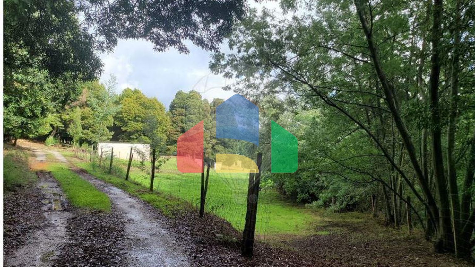 Residential - Farm - Canas de Senhorim, Nelas - PT