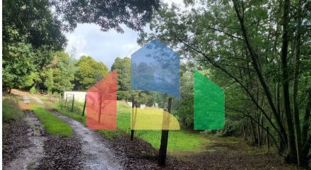 Residential - Farm - Canas de Senhorim, Nelas - PT