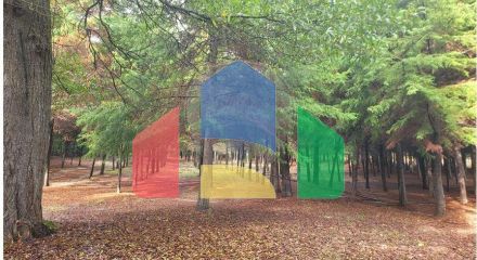 Residential - Farm - Canas de Senhorim, Nelas - PT