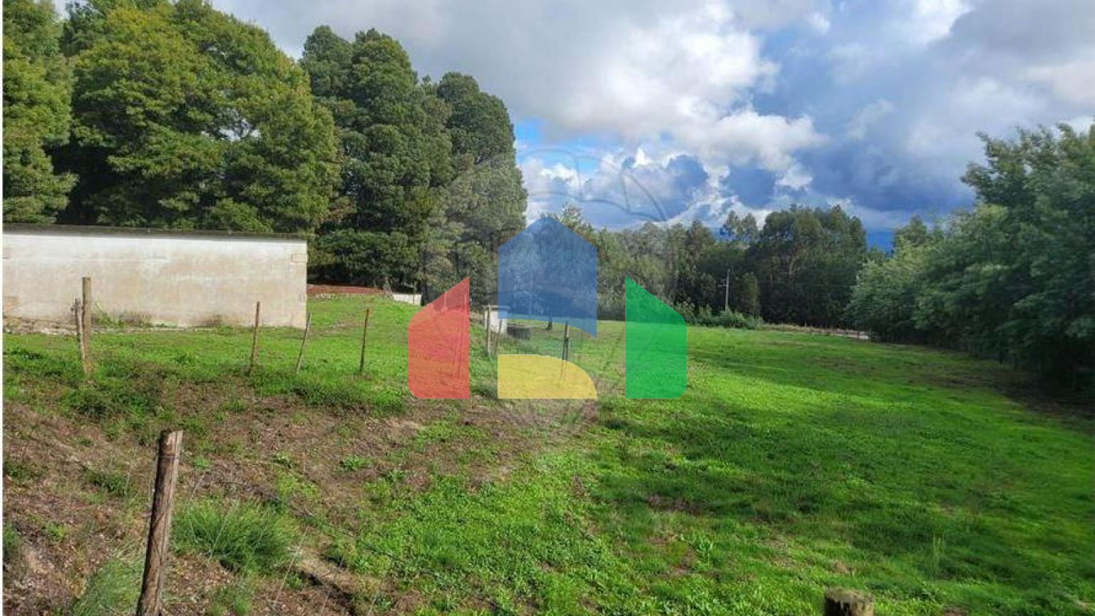 Residential - Farm - Canas de Senhorim, Nelas - PT