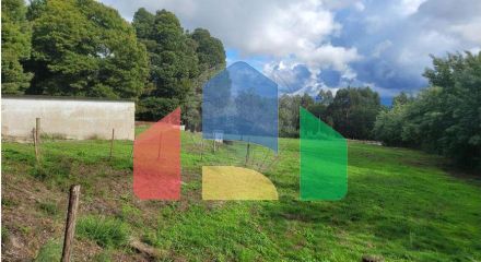 Residential - Farm - Canas de Senhorim, Nelas - PT