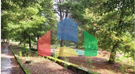 Residential - Farm - Canas de Senhorim, Nelas - PT