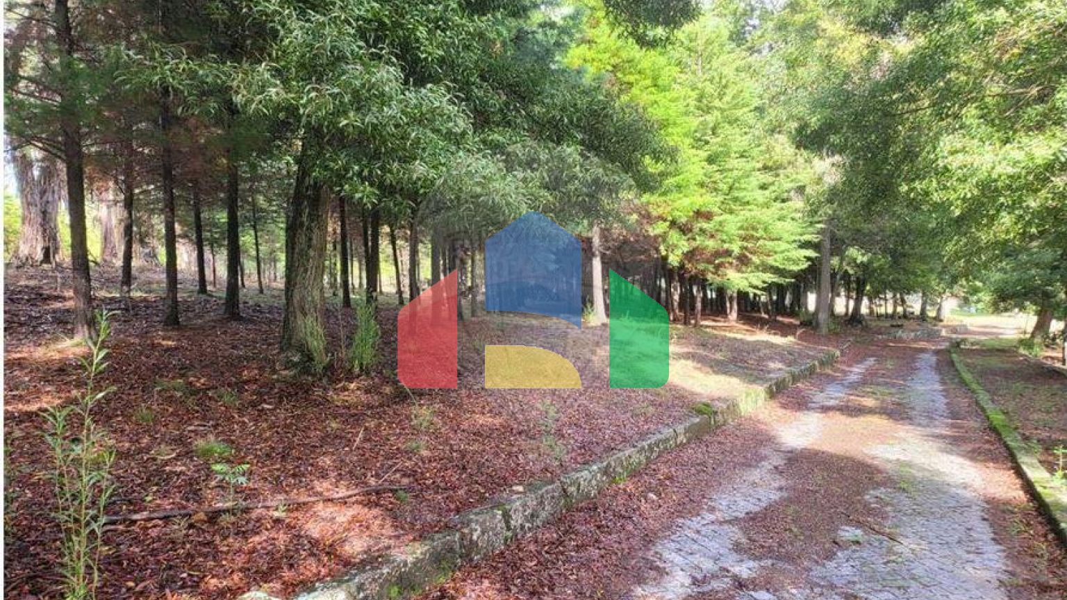 Residential - Farm - Canas de Senhorim, Nelas - PT