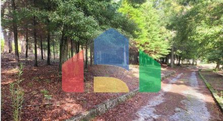 Residential - Farm - Canas de Senhorim, Nelas - PT