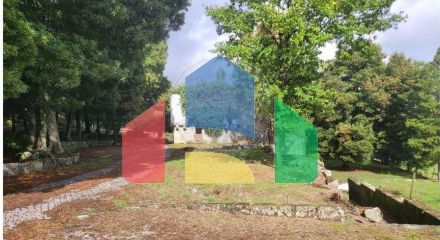 Residential - Farm - Canas de Senhorim, Nelas - PT