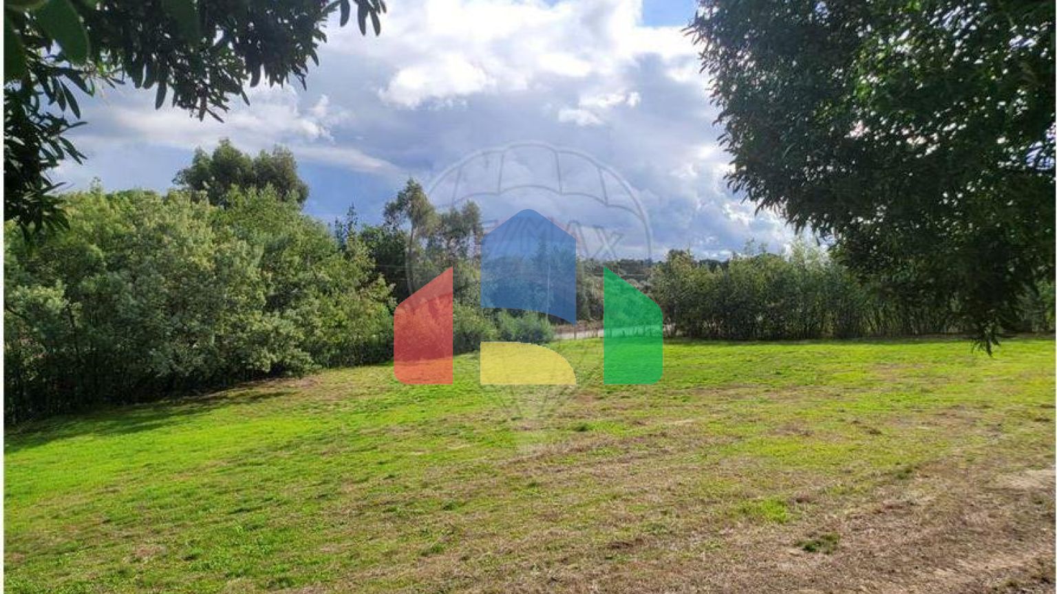 Residential - Farm - Canas de Senhorim, Nelas - PT