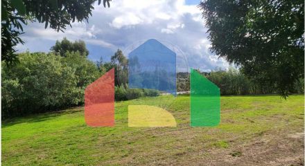 Residential - Farm - Canas de Senhorim, Nelas - PT