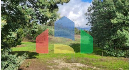 Residential - Farm - Canas de Senhorim, Nelas - PT