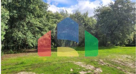 Residential - Farm - Canas de Senhorim, Nelas - PT