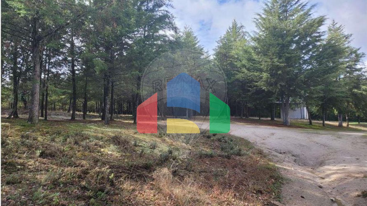 Residential - Farm - Canas de Senhorim, Nelas - PT