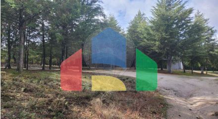 Residential - Farm - Canas de Senhorim, Nelas - PT