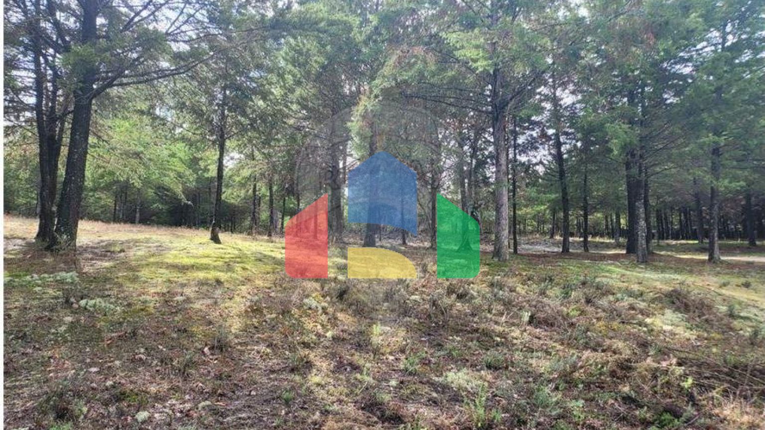 Residential - Farm - Canas de Senhorim, Nelas - PT