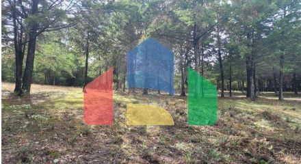 Residential - Farm - Canas de Senhorim, Nelas - PT