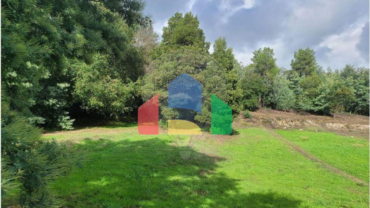 Residential - Farm - Canas de Senhorim, Nelas - PT