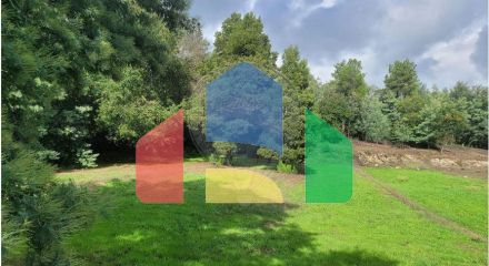 Residential - Farm - Canas de Senhorim, Nelas - PT