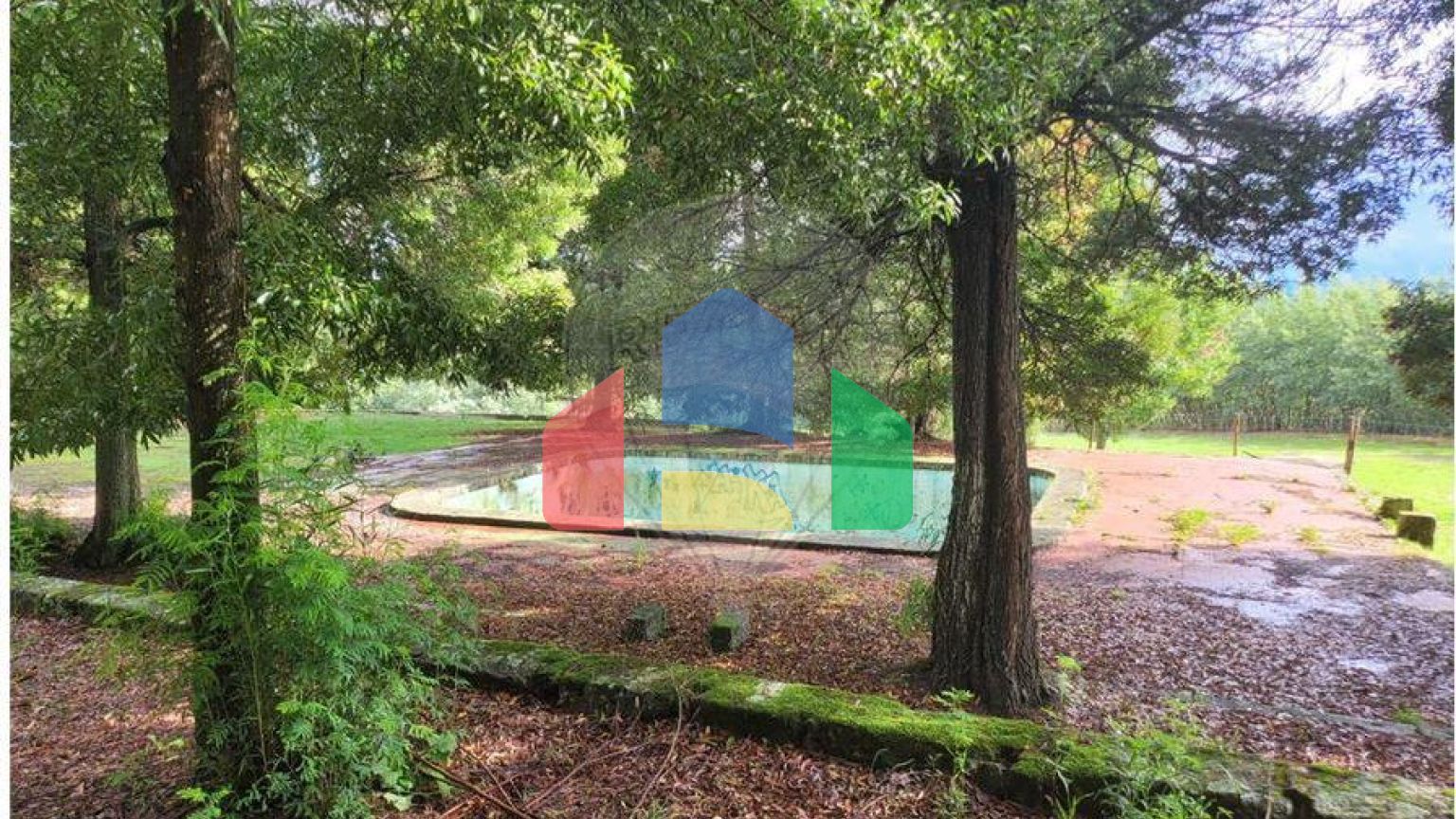 Residential - Farm - Canas de Senhorim, Nelas - PT