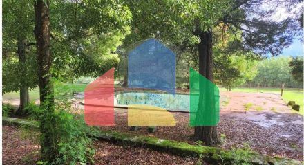 Residential - Farm - Canas de Senhorim, Nelas - PT