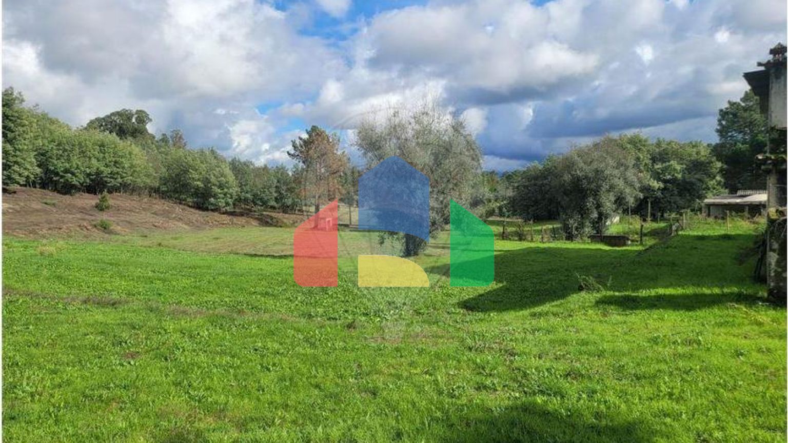 Residential - Farm - Canas de Senhorim, Nelas - PT