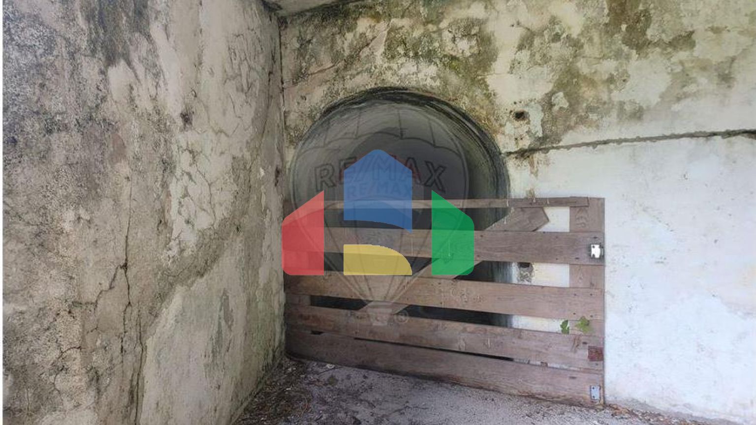 Residential - Farm - Canas de Senhorim, Nelas - PT