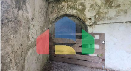 Residential - Farm - Canas de Senhorim, Nelas - PT