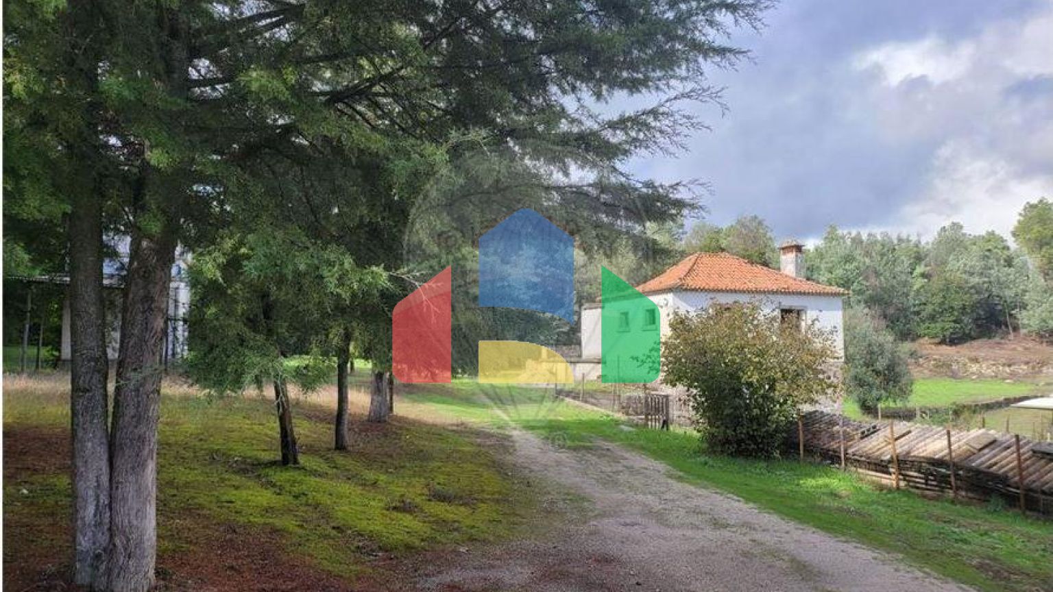 Residential - Farm - Canas de Senhorim, Nelas - PT