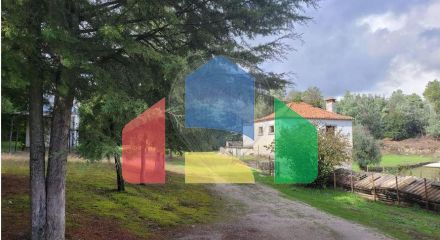 Residential - Farm - Canas de Senhorim, Nelas - PT