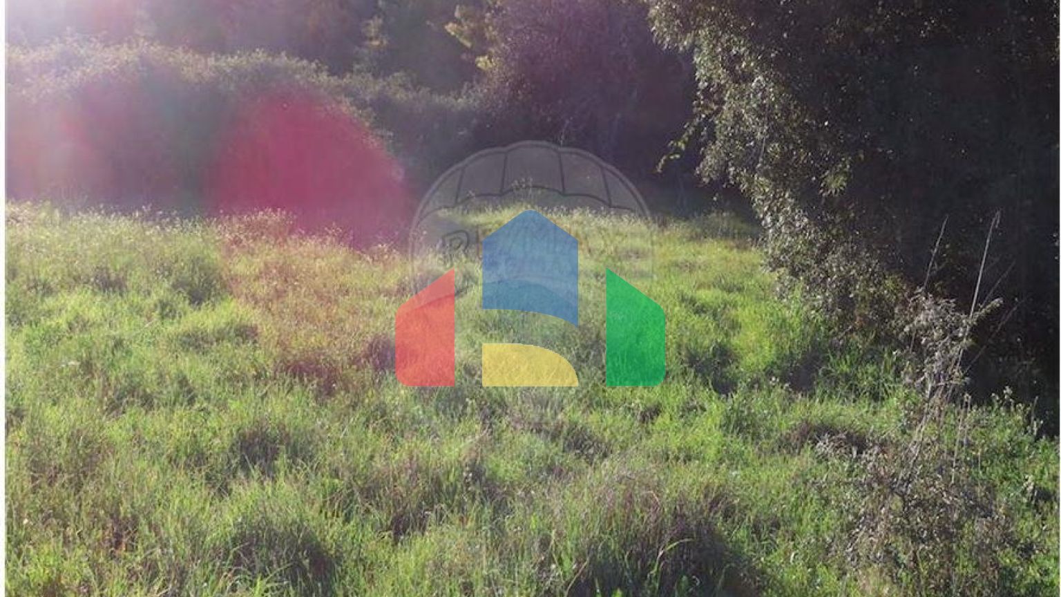 Residential - Farm - Vale de Prazeres e Mata da Rainha, Fundao - PT