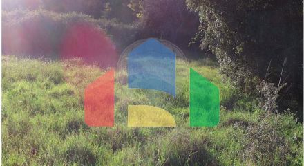 Residential - Farm - Vale de Prazeres e Mata da Rainha, Fundao - PT