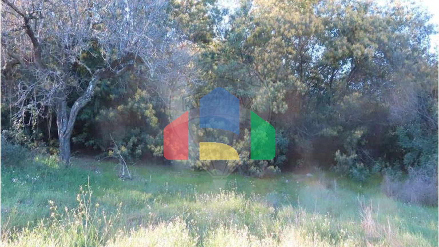 Residential - Farm - Vale de Prazeres e Mata da Rainha, Fundao - PT