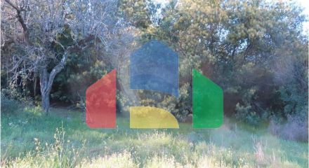 Residential - Farm - Vale de Prazeres e Mata da Rainha, Fundao - PT