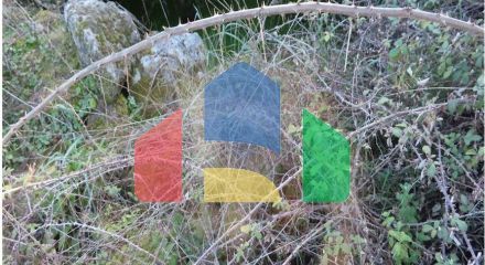 Residential - Farm - Vale de Prazeres e Mata da Rainha, Fundao - PT