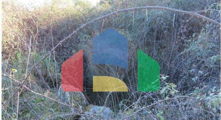 Residential - Farm - Vale de Prazeres e Mata da Rainha, Fundao - PT