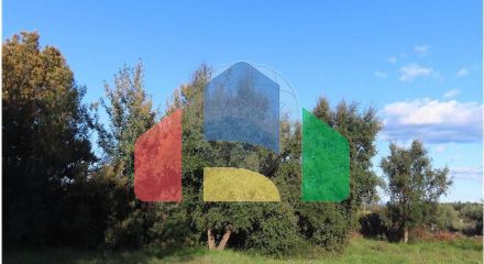 Residential - Farm - Vale de Prazeres e Mata da Rainha, Fundao - PT