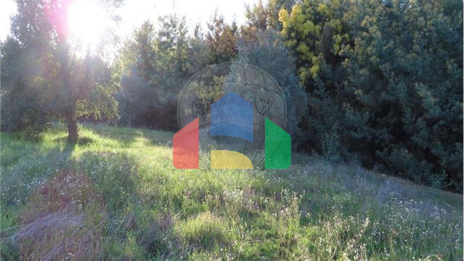 Residential - Farm - Vale de Prazeres e Mata da Rainha, Fundao - PT