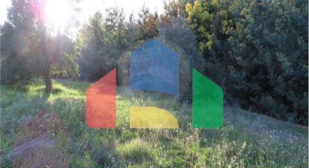 Residential - Farm - Vale de Prazeres e Mata da Rainha, Fundao - PT