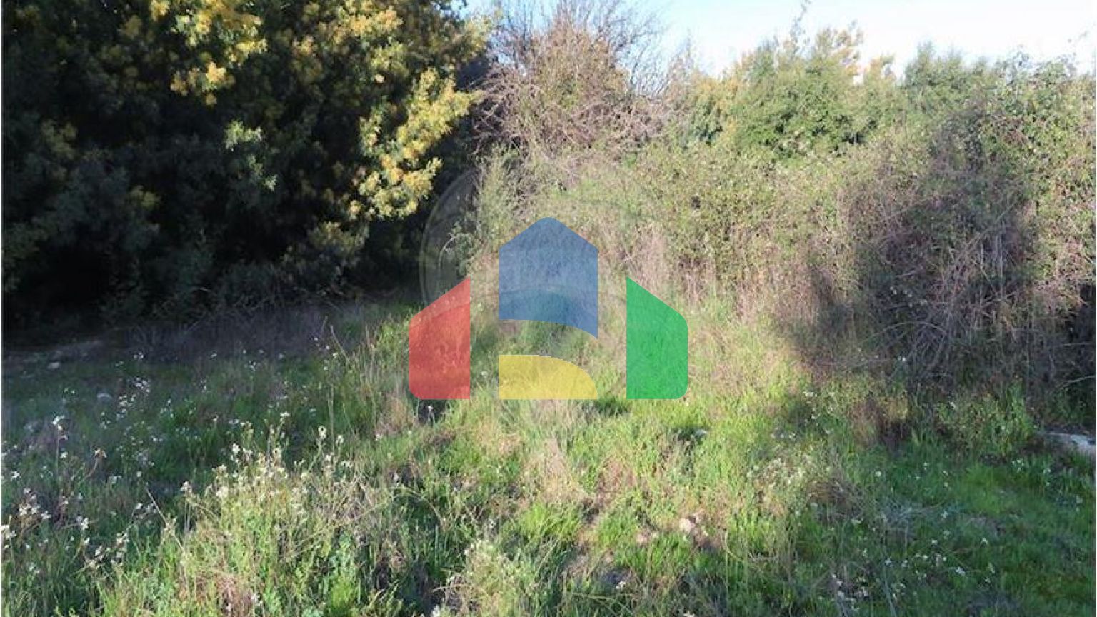 Residential - Farm - Vale de Prazeres e Mata da Rainha, Fundao - PT