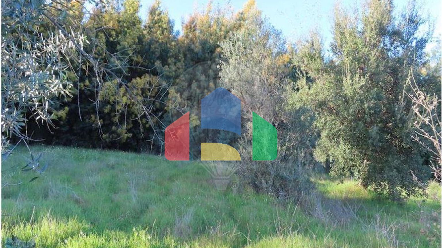 Residential - Farm - Vale de Prazeres e Mata da Rainha, Fundao - PT