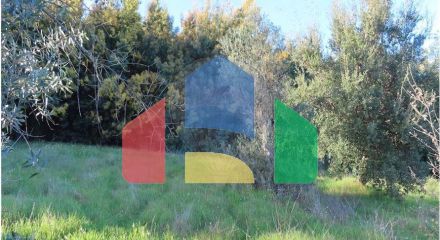 Residential - Farm - Vale de Prazeres e Mata da Rainha, Fundao - PT