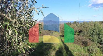 Residential - Farm - Vale de Prazeres e Mata da Rainha, Fundao - PT