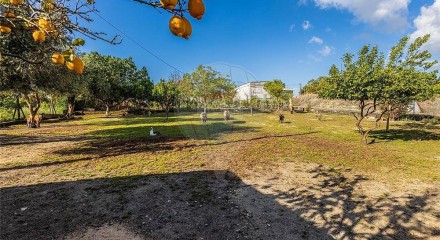 Residential - Single Family Home - T3 - Cartaxo e Vale da Pinta, Cartaxo - PT