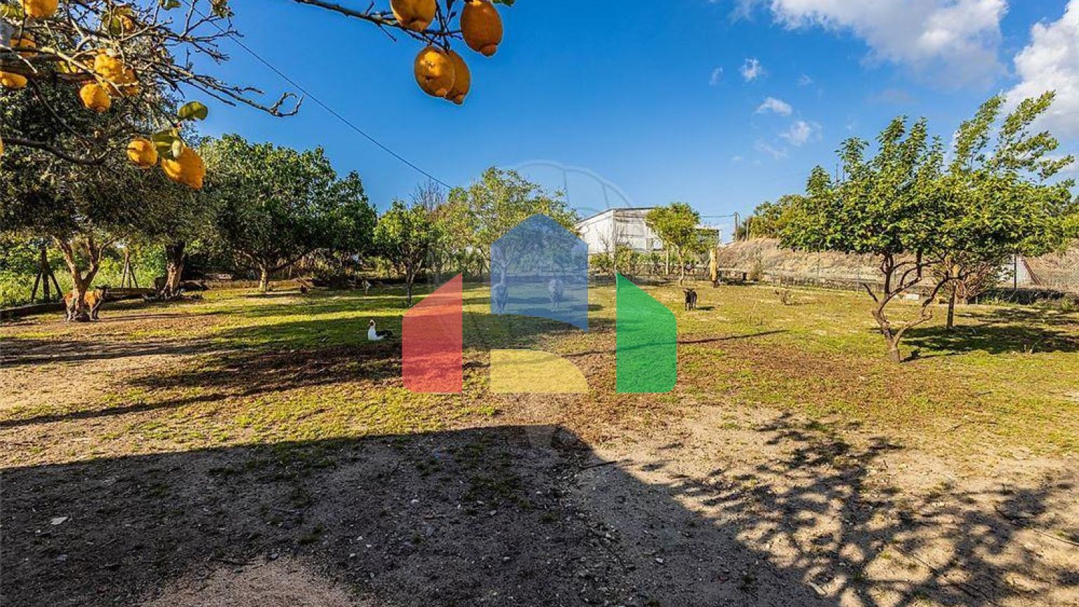 Residential - Single Family Home - T3 - Cartaxo e Vale da Pinta, Cartaxo - PT