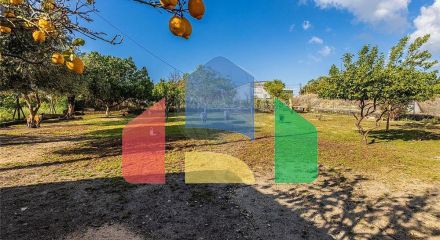 Residential - Single Family Home - T3 - Cartaxo e Vale da Pinta, Cartaxo - PT Residential - Single Family Home - T3 - Cartaxo e Vale da Pinta, Cartaxo - PT