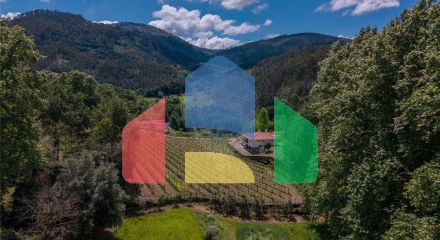 Residential - Single Family Home - T3 - Bouro (Santa Maria), Amares - PT