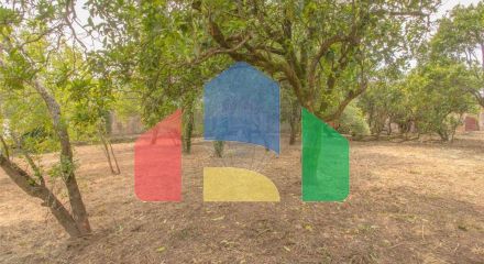 Residential - Single Family Home - T3 - Nogueira da Regedoura, Santa Maria da Feira - PT