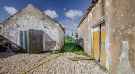 Residential - Single Family Home - T2 - Bombarral e Vale Covo, Bombarral - PT