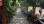 Residential - Single Family Home - T4 - Avelar, Ansiao - PT