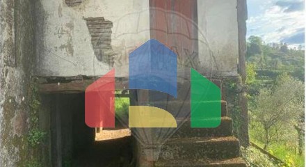 Residential - Single Family Home - T2 - Oliveira do Douro, Cinfaes - PT